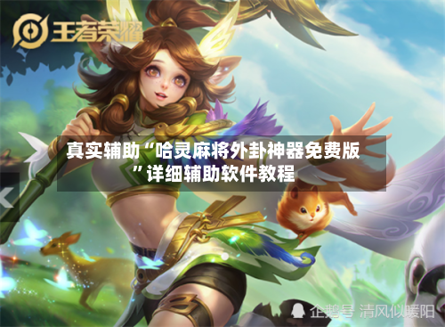 真实辅助“哈灵麻将外卦神器免费版”详细辅助软件教程