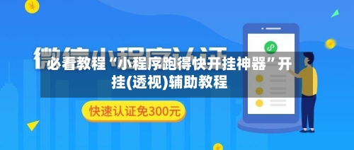 必看教程“小程序跑得快开挂神器”开挂(透视)辅助教程-第2张图片