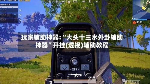 玩家辅助神器:“大头十三水外卦辅助神器”开挂(透视)辅助教程