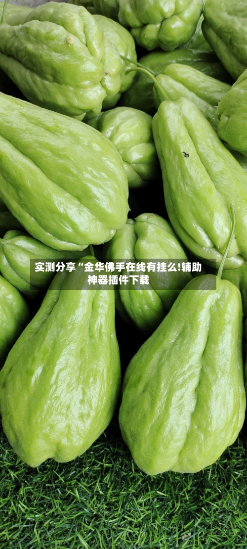 实测分享“金华佛手在线有挂么!辅助神器插件下载-第1张图片