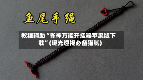 教程辅助“雀神万能开挂器苹果版下载”(曝光透视必备猫腻)