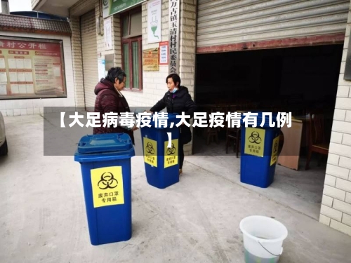 【大足病毒疫情,大足疫情有几例】-第1张图片
