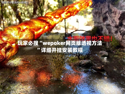 玩家必搜“wepoker网页版透视方法	”详细开挂安装教程-第2张图片
