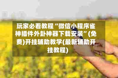 玩家必看教程“微信小程序雀神插件外卦神器下载安装	”(免费)开挂辅助教学(最新辅助开挂教程)-第2张图片