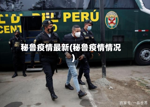 秘鲁疫情最新(秘鲁疫情情况)-第2张图片