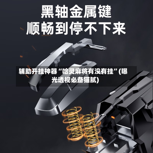 辅助开挂神器“哈灵麻将有没有挂”(曝光透视必备猫腻)-第1张图片