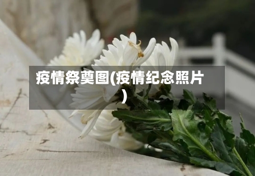 疫情祭奠图(疫情纪念照片)-第2张图片