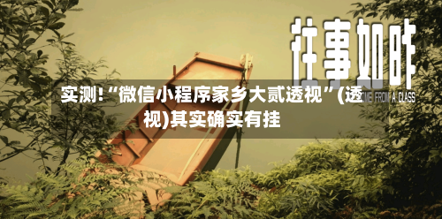 实测!“微信小程序家乡大贰透视	”(透视)其实确实有挂-第2张图片