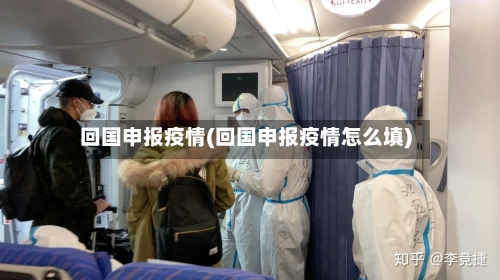 回国申报疫情(回国申报疫情怎么填)