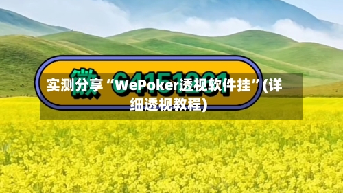 实测分享“WePoker透视软件挂”(详细透视教程)-第2张图片