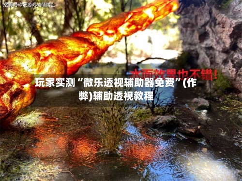 玩家实测“微乐透视辅助器免费”(作弊)辅助透视教程-第2张图片
