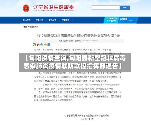 【旬阳疫情查询,旬阳县新型冠状病毒感染肺炎疫情联防联控指挥部通告】-第2张图片