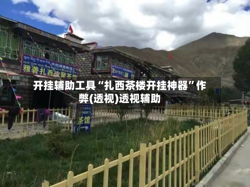 开挂辅助工具“扎西茶楼开挂神器	”作弊(透视)透视辅助-第1张图片