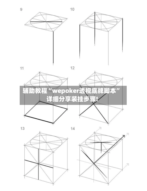 辅助教程“wepoker透视底牌脚本”详细分享装挂步骤!-第2张图片