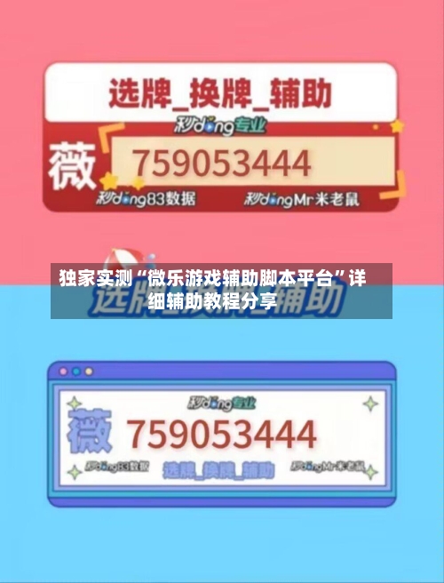 独家实测“微乐游戏辅助脚本平台”详细辅助教程分享