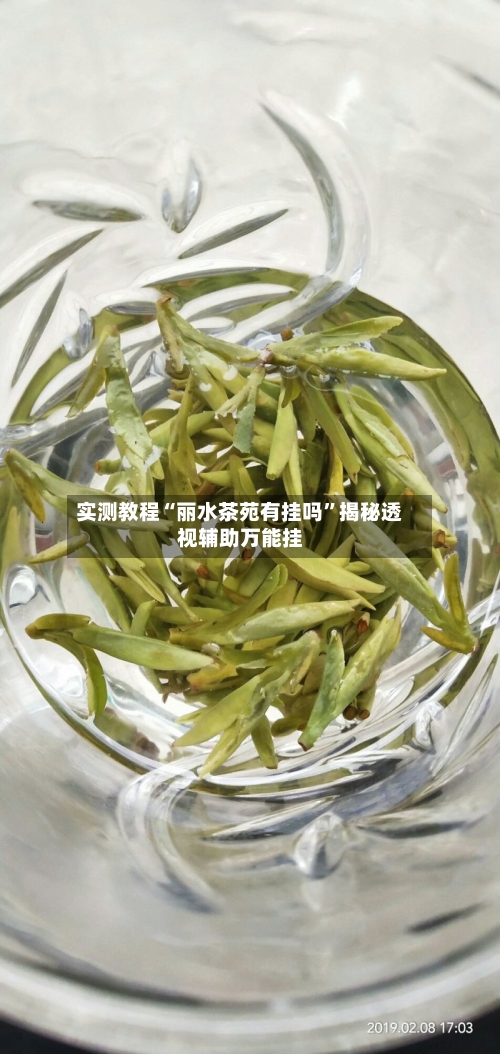 实测教程“丽水茶苑有挂吗”揭秘透视辅助万能挂-第3张图片