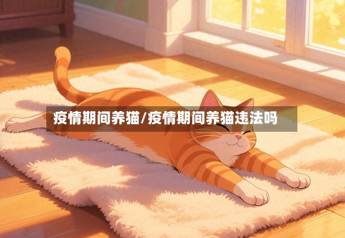 疫情期间养猫/疫情期间养猫违法吗-第3张图片