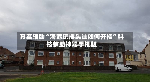 真实辅助“海港玩摆头注如何开挂”科技辅助神器手机版-第2张图片