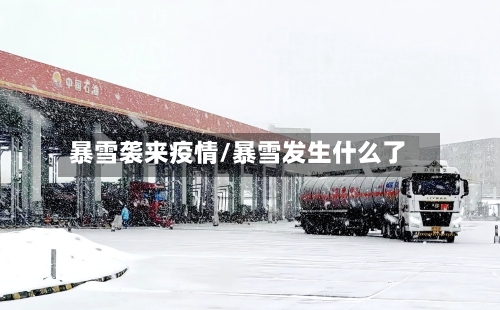 暴雪袭来疫情/暴雪发生什么了-第2张图片