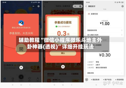 辅助教程“微信小程序微乐斗地主外卦神器(透视)”详细开挂玩法-第1张图片