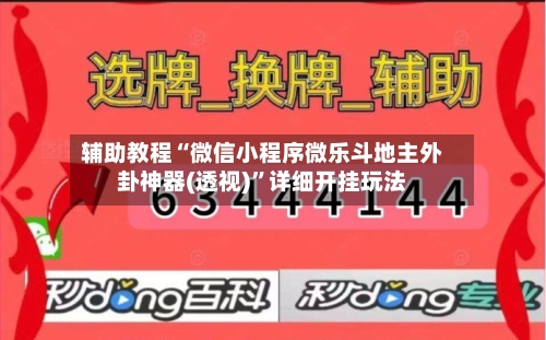 辅助教程“微信小程序微乐斗地主外卦神器(透视)”详细开挂玩法-第2张图片