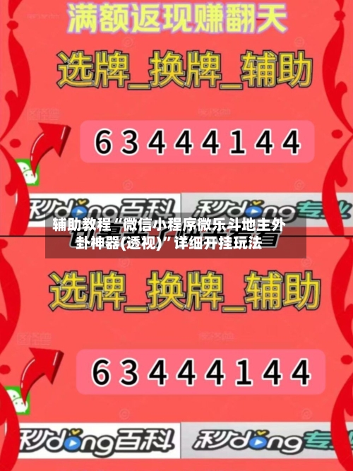 辅助教程“微信小程序微乐斗地主外卦神器(透视)	”详细开挂玩法-第3张图片