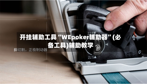 开挂辅助工具“WEpoker辅助器”(必备工具)辅助教学-第3张图片