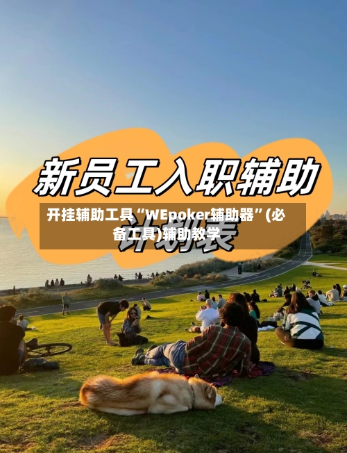 开挂辅助工具“WEpoker辅助器”(必备工具)辅助教学-第1张图片