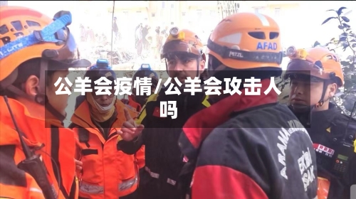 公羊会疫情/公羊会攻击人吗