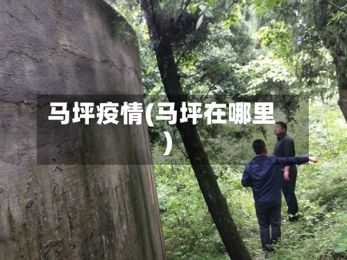 马坪疫情(马坪在哪里)