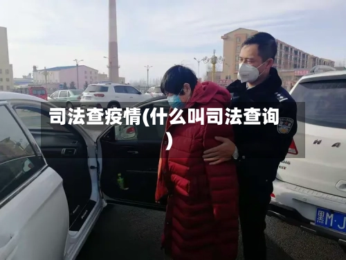 司法查疫情(什么叫司法查询)-第1张图片