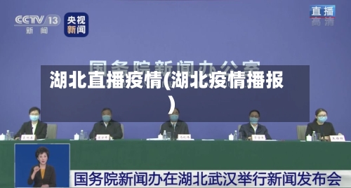 湖北直播疫情(湖北疫情播报)-第2张图片