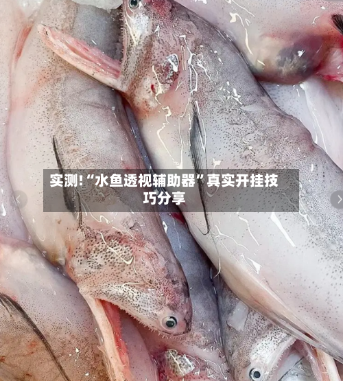 实测!“水鱼透视辅助器”真实开挂技巧分享-第1张图片