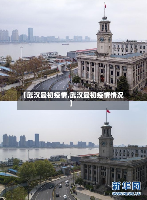 【武汉最初疫情,武汉最初疫情情况】-第3张图片