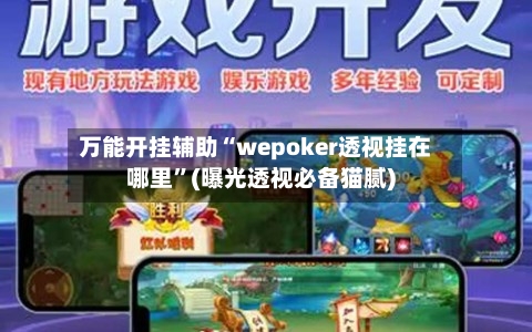 万能开挂辅助“wepoker透视挂在哪里”(曝光透视必备猫腻)-第2张图片