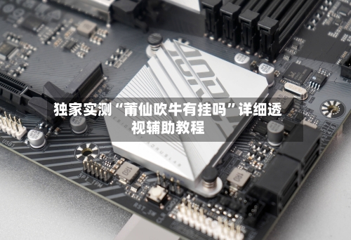 独家实测“莆仙吹牛有挂吗”详细透视辅助教程-第2张图片
