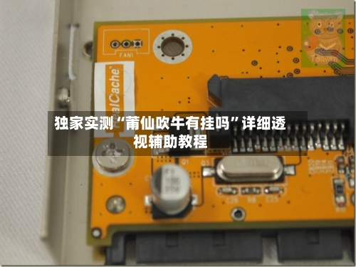 独家实测“莆仙吹牛有挂吗	”详细透视辅助教程-第1张图片