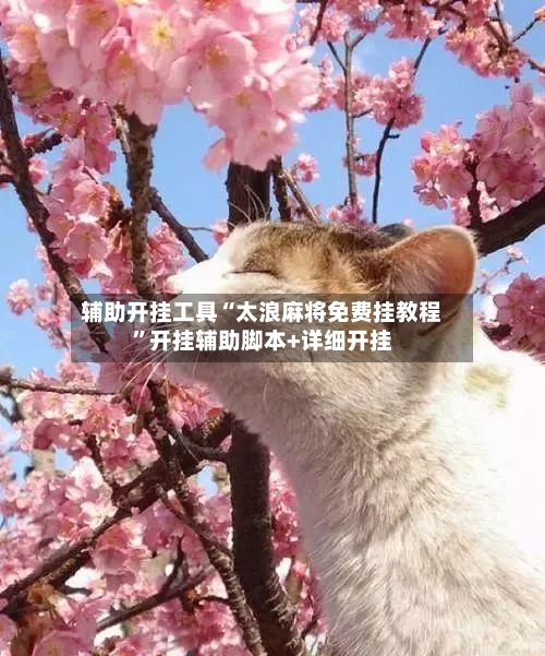 辅助开挂工具“太浪麻将免费挂教程”开挂辅助脚本+详细开挂