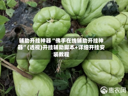辅助开挂神器“佛手在线辅助开挂神器	”(透视)开挂辅助脚本+详细开挂安装教程-第1张图片