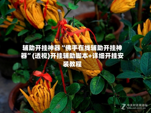 辅助开挂神器“佛手在线辅助开挂神器”(透视)开挂辅助脚本+详细开挂安装教程-第2张图片