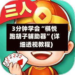 3分钟学会“棋悦跑胡子辅助器”(详细透视教程)-第3张图片