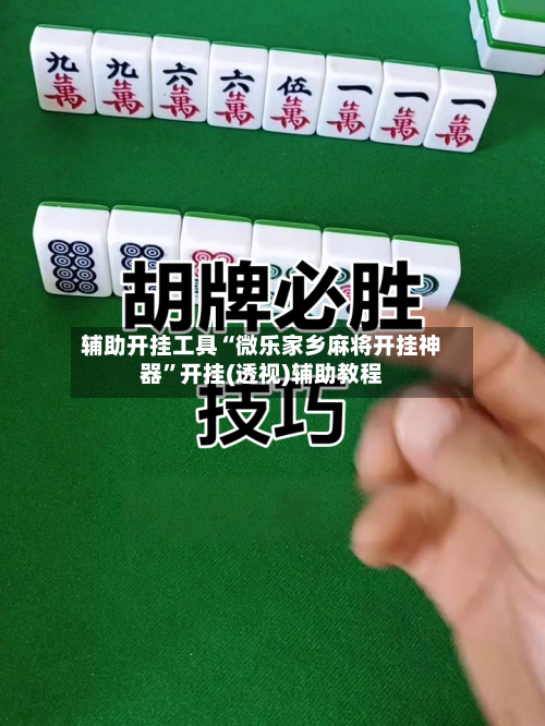 辅助开挂工具“微乐家乡麻将开挂神器”开挂(透视)辅助教程-第3张图片