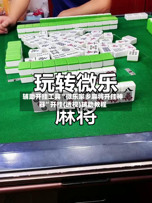 辅助开挂工具“微乐家乡麻将开挂神器	”开挂(透视)辅助教程-第1张图片