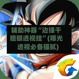 辅助神器“边锋干瞪眼透视挂”(曝光透视必备猫腻)