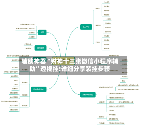 辅助神器“财神十三张微信小程序辅助”透视挂!详细分享装挂步骤-第1张图片