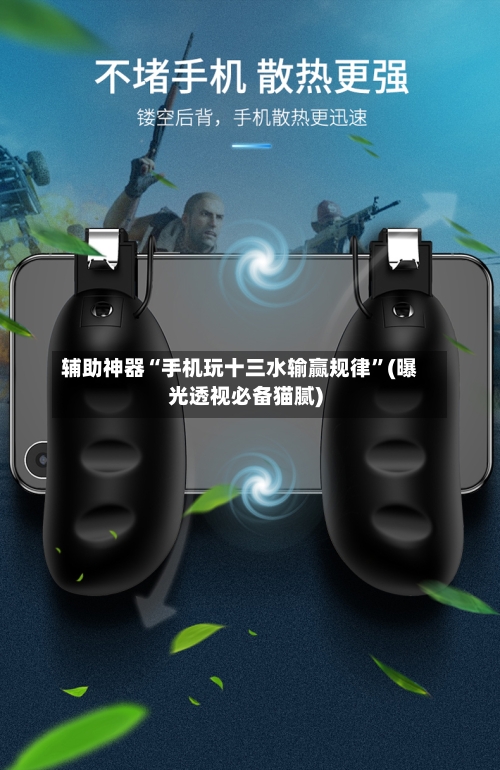 辅助神器“手机玩十三水输赢规律	”(曝光透视必备猫腻)-第1张图片