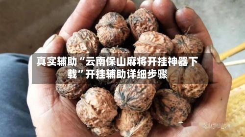 真实辅助“云南保山麻将开挂神器下载”开挂辅助详细步骤-第2张图片