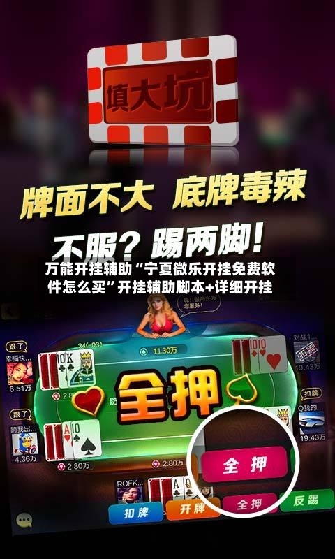 万能开挂辅助“宁夏微乐开挂免费软件怎么买	”开挂辅助脚本+详细开挂-第1张图片