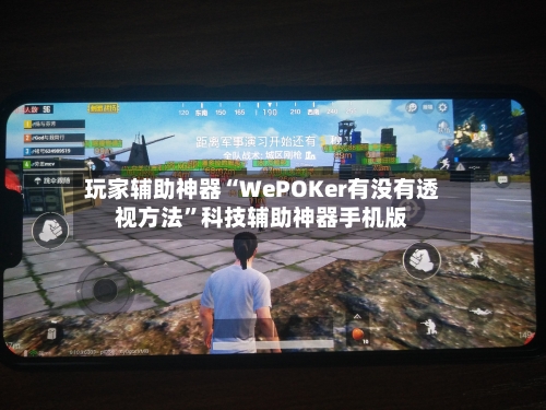 玩家辅助神器“WePOKer有没有透视方法”科技辅助神器手机版-第3张图片