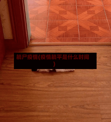 躺尸疫情(疫情躺平是什么时间)